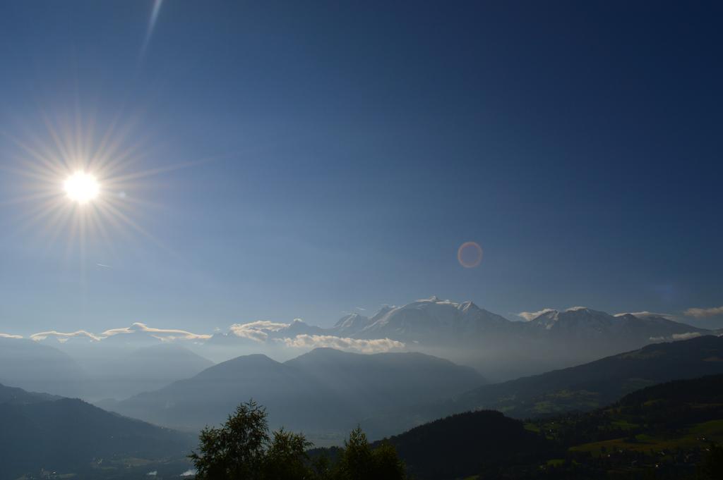 La Joubarbe Au Balcon Du Mont-Blanc Villa Sallanches Bagian luar foto