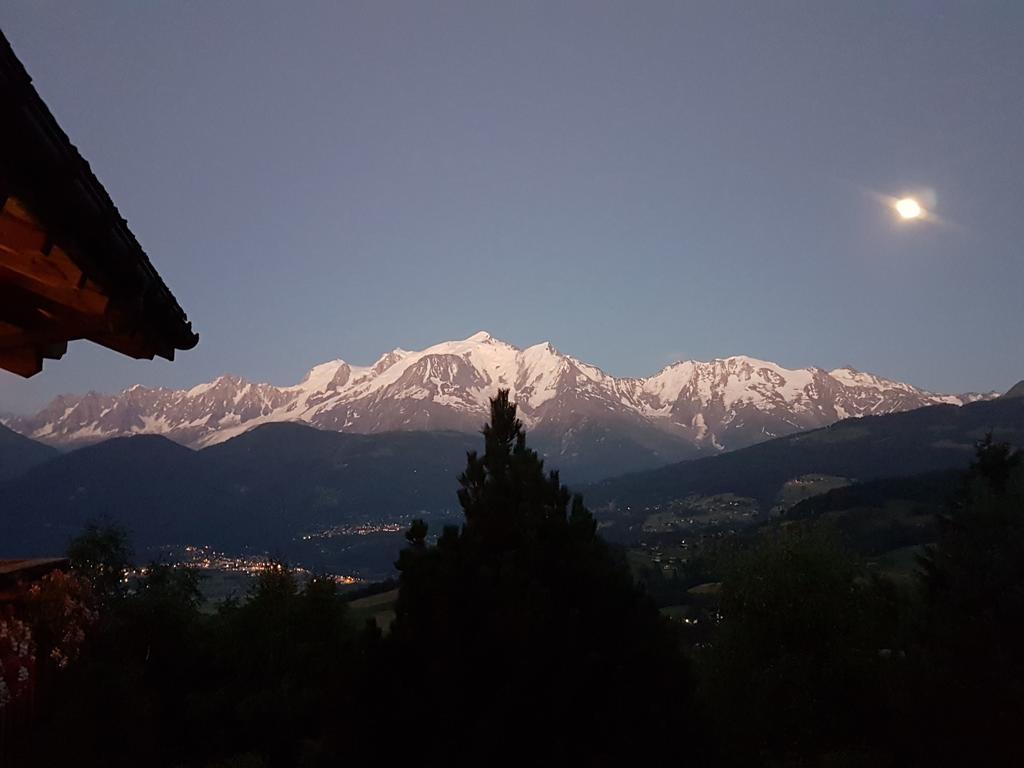La Joubarbe Au Balcon Du Mont-Blanc Villa Sallanches Bagian luar foto